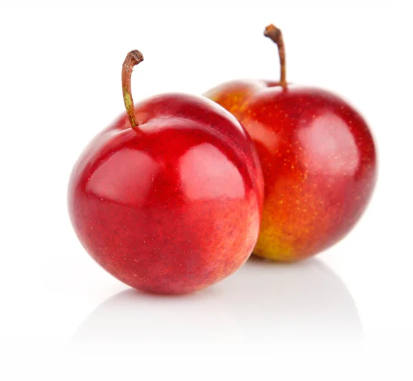 Frutas ameixa fresca isoladas no branco — Fotografia de Stock