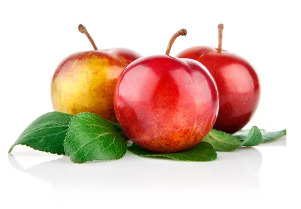 Ovoce čerstvé švestky se zelenými listy — Stock fotografie