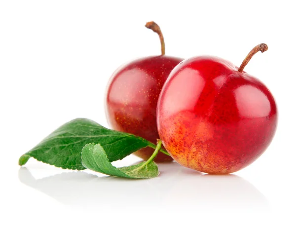 Rijp pruim vruchten met groene bladeren — Stockfoto