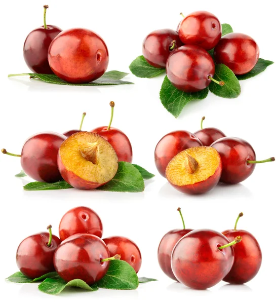 Instellen van verse pruim vruchten met knippen en groene bladeren — Stockfoto