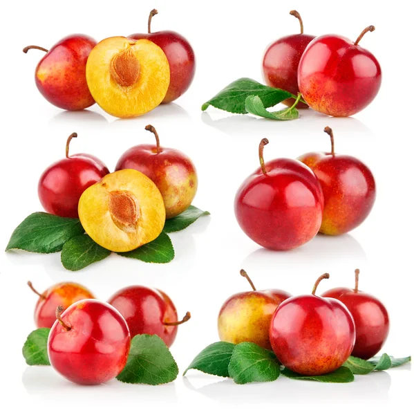 Definir frutas ameixa com folhas verdes — Fotografia de Stock