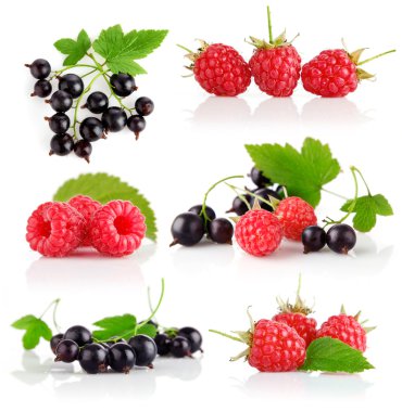 Set fresh berry fruits with green leaves clipart