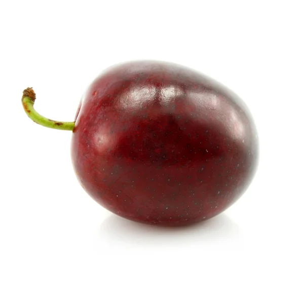 Fruits de prune isolés sur blanc — Photo