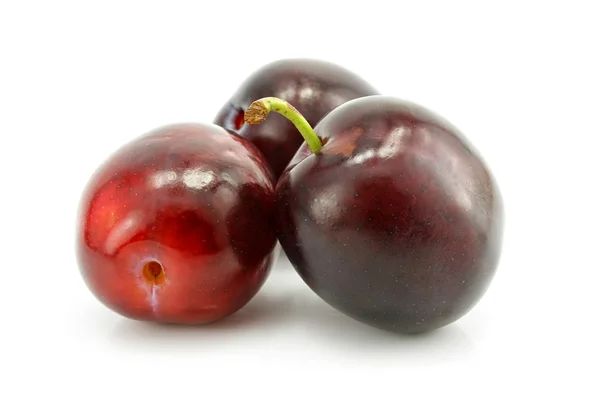 Trois fruits prune isolés sur blanc — Photo