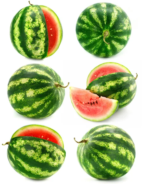 Collection of water melon fruits isolated — Stock Photo, Image