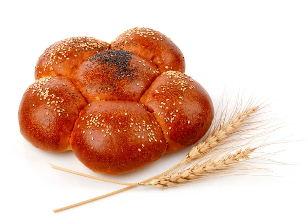 Один свежий хлеб с кукурузой — стоковое фото
