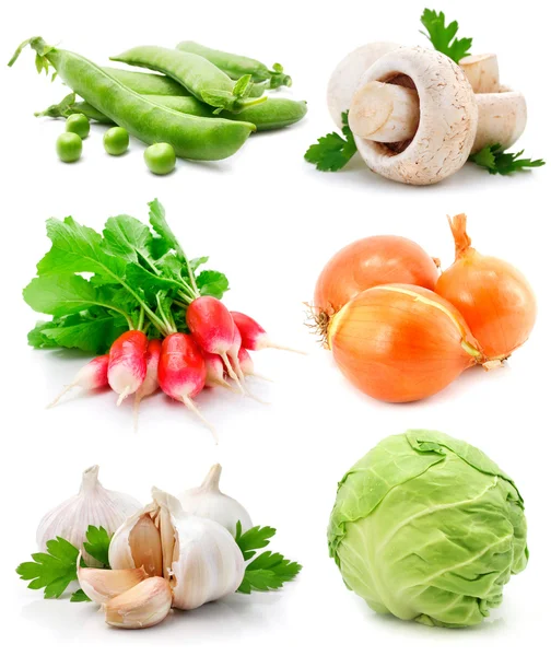 Conjunto de verduras con hojas verdes — Foto de Stock