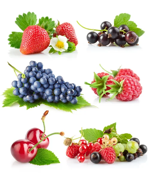 Set fresh berries with green leaf — Stock Photo, Image