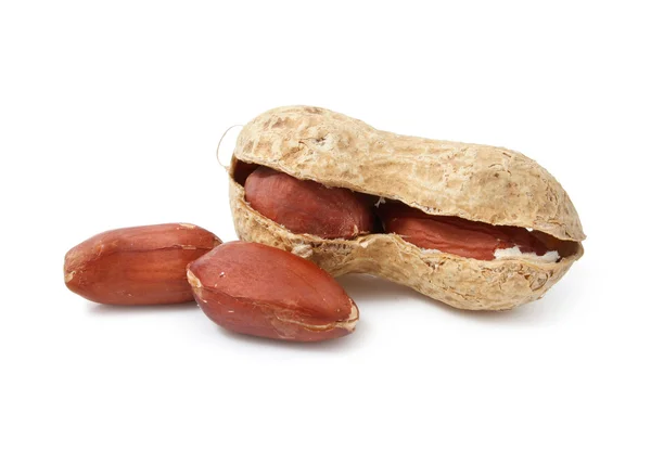 Vegetal de amendoim frutas secadas isolado — Fotografia de Stock