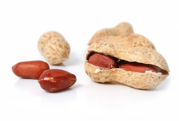 Frutos de amendoim isolado no fundo branco — Fotografia de Stock