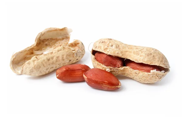 Fruits of peanut isolated on white background — Fotografie, imagine de stoc