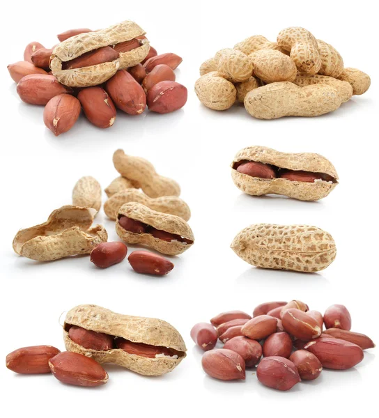Колекція сушених арахісових фруктів ізольована — стокове фото
