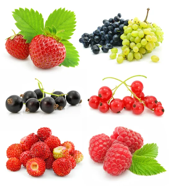 Collection of ripe berry fruits isolated Stock Photo