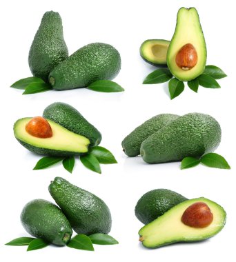 Set of green avocado fruits with leaf isolated on white clipart