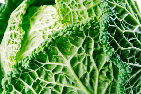 Background made of fresh green cabbage fruit — Stock Photo, Image