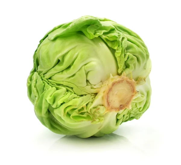 Head of green cabbage vegetable isolated — Stock Photo, Image
