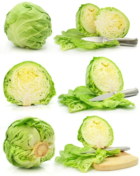 Collection of green cabbage vegetables isolated — Stock Photo, Image