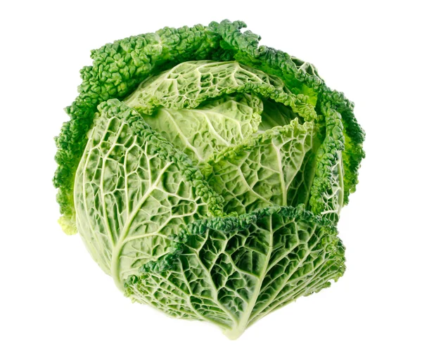 Single green cabbage fruit isolated on white — Stock Photo, Image