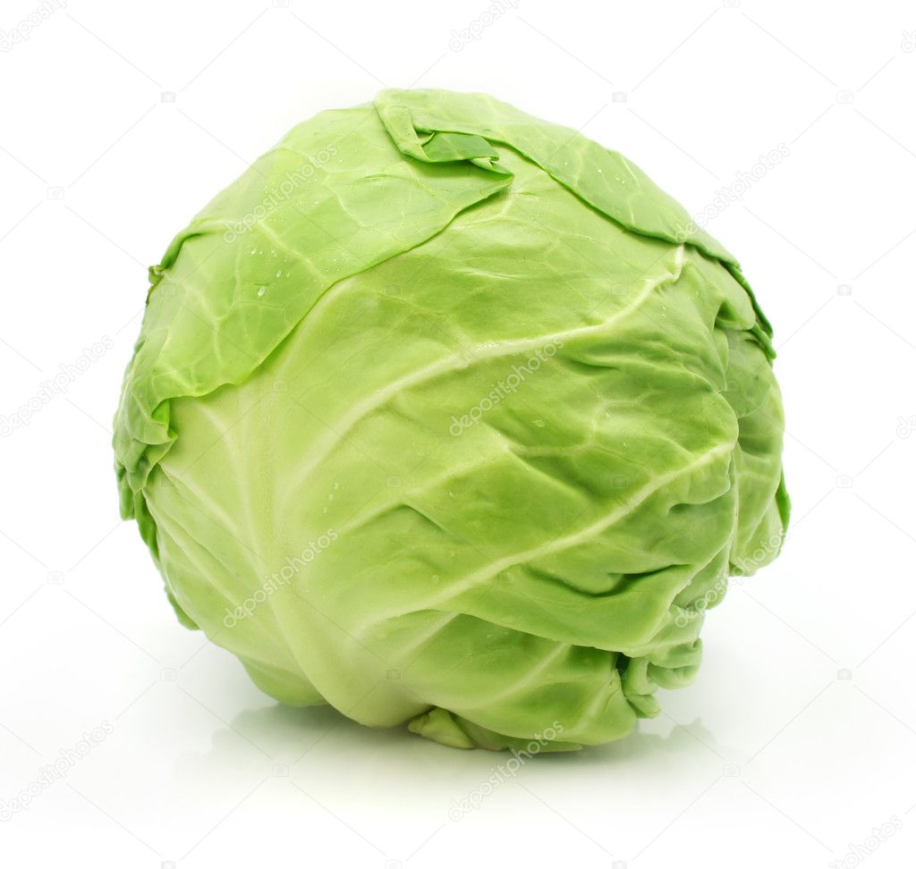Head of green cabbage vegetable isolated