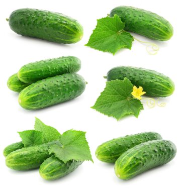 Green cucumber vegetable fruits with leafs isolated clipart