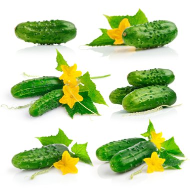 Set cucumber fruits with leaves clipart