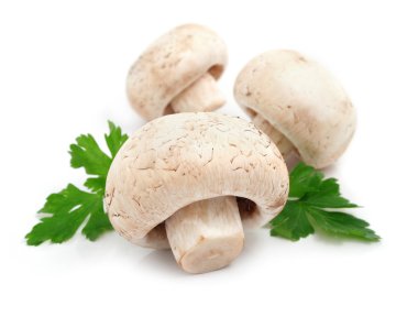 Mushroom champignon fruits with green parsley leaves clipart