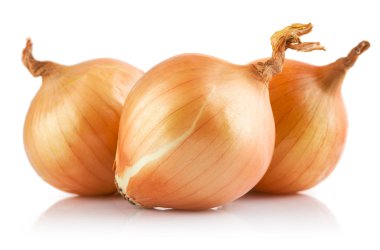 Fresh onions vegetables clipart