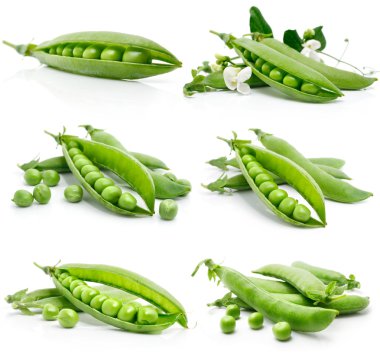 Set of fresh green pea in the pod isolated clipart