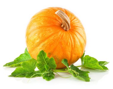 Yellow pumpkin vegetable with green leaves clipart