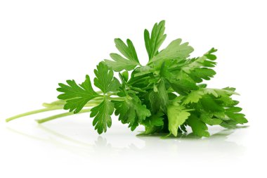 Green leaves of parsley clipart