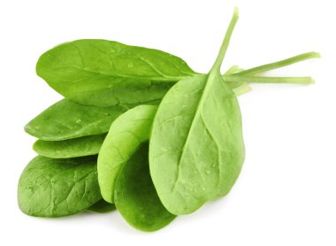 Green leaves of spinach clipart