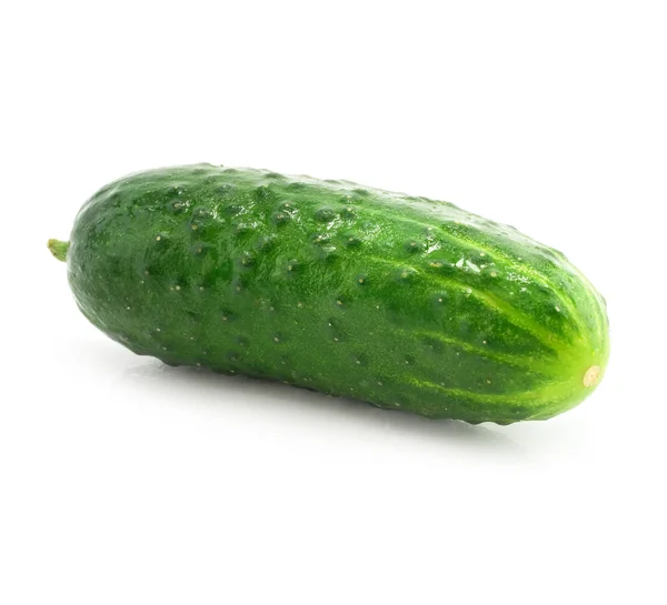 Groene komkommer groente geïsoleerd — Stockfoto