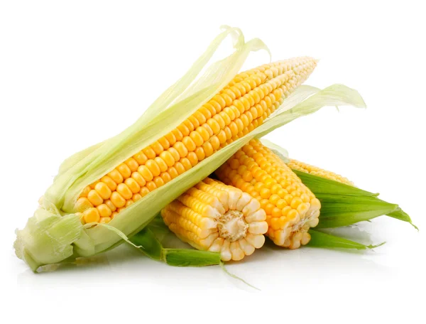 新鲜玉米蔬菜与绿色的树叶 — 图库照片
