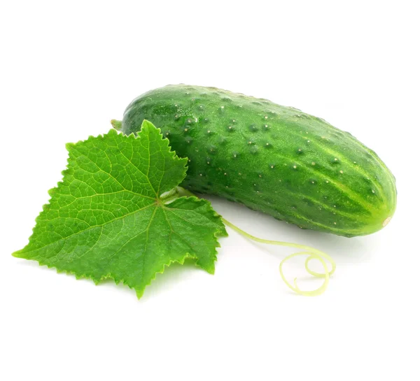 Green cucumber vegetable fruit with leaf isolated — Stock Photo, Image