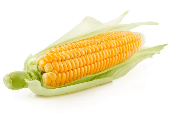 新鲜玉米蔬菜与绿色的树叶 — 图库照片