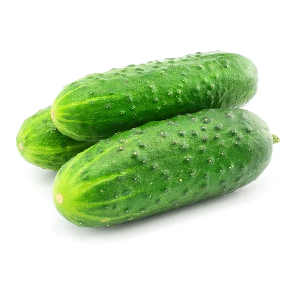 Green cucumber vegetable fruits isolated — Stock Photo, Image