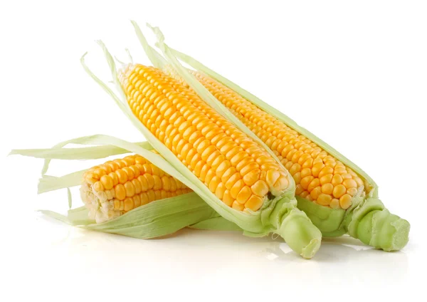 Fresh corn vegetable with green leaves — Stock Photo, Image