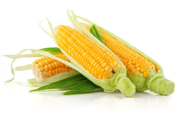 Свежие кукурузные овощи с зелеными листьями — стоковое фото