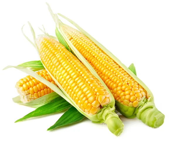 Zelenina čerstvá kukuřice se zelenými listy — Stock fotografie