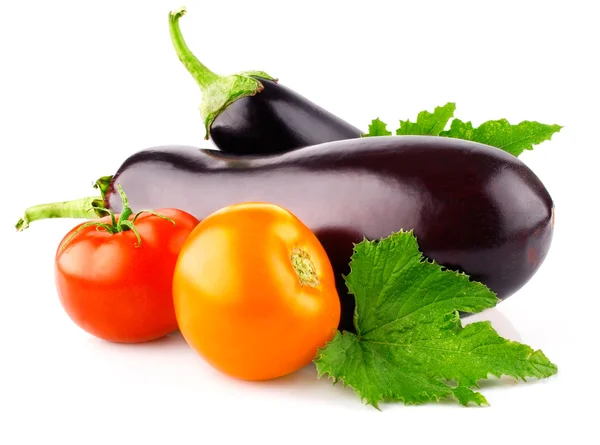Aubergine vegetabiliska frukter med tomater — Stockfoto