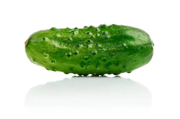 Fruta sola pepino aislado en blanco —  Fotos de Stock
