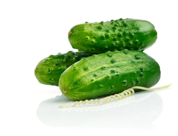 Tři plody okurky izolované na bílém — Stock fotografie
