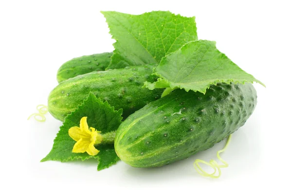 Yeşil salatalık sebze meyve ile izole yapraklar — Stok fotoğraf