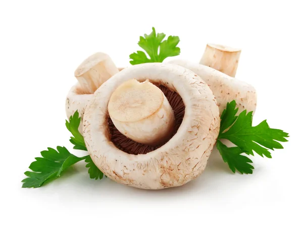 Mushroom champignon fruits with green parsley leaves — Stock Photo, Image