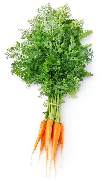 Fruits de carotte frais aux feuilles vertes — Photo