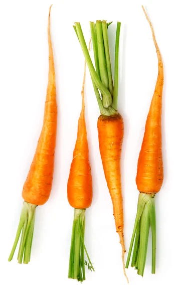 Свіжі морквяні плоди з зеленим листям — стокове фото