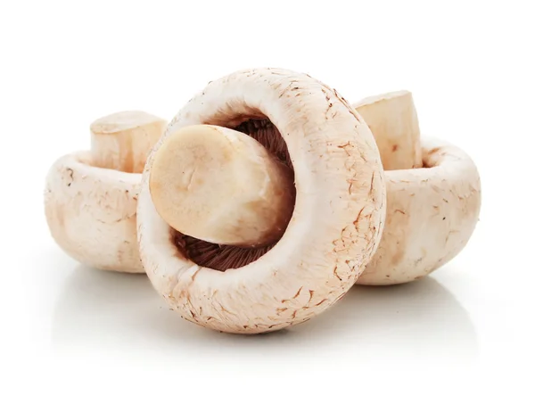 Ripe mushroom champignon fruits isolated — Stock Photo, Image