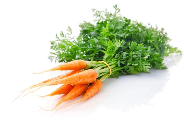 Frutos de cenoura frescos com folhas verdes — Fotografia de Stock
