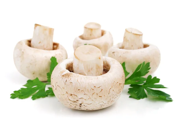 Mushroom champignon fruits with green parsley leaves — Stock Photo, Image