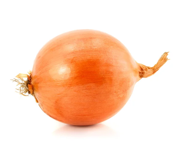 Onion vegetable fruit isolated — Stock Photo, Image